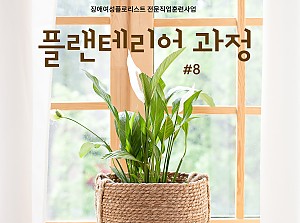 플로리스트전문직업훈련사업 플랜테리어과정 8회기