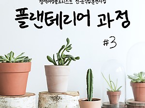 플로리스트전문직업훈련사업 플랜테리어과정 3회기