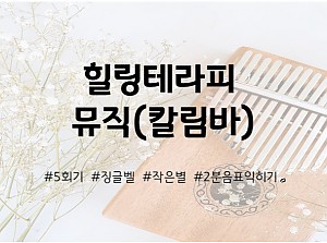 힐링테라피 뮤직 칼림바 5회기 진행
