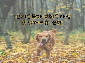 반려동물자격취득과정 종결워크숍 진행